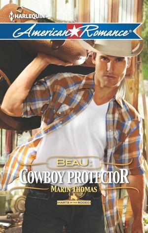 Cover of the book Beau: Cowboy Protector by Karen Van Der Zee