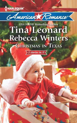 Cover of the book Christmas in Texas by Johanna S. Kandel