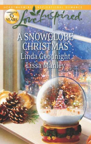 Cover of the book A Snowglobe Christmas by Vivienne Wallington