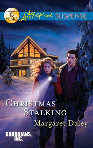 Cover of the book Christmas Stalking by Paula Graves