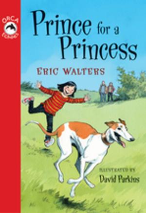 Cover of the book Prince for a Princess by Sigmund Brouwer