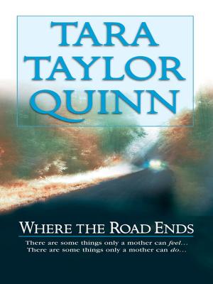 Cover of the book WHERE THE ROAD ENDS by Amanda Stevens