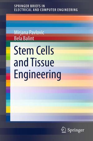 Cover of the book Stem Cells and Tissue Engineering by Richard Kittler, Miroslav Kocifaj, Stanislav Darula