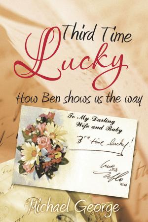 Cover of the book Third Time Lucky by P. J. Hoge