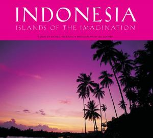 Cover of the book Indonesia: Islands of the Imagination by Boye Lafayette De Mente, Junji Kawai