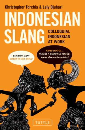 bigCover of the book Indonesian Slang by 