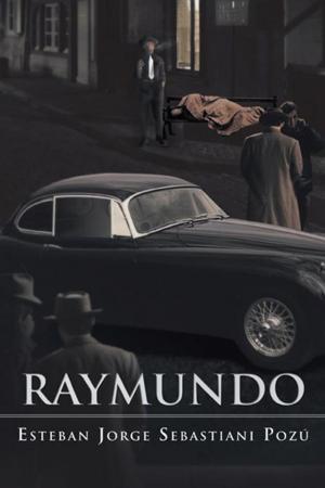 Cover of the book Raymundo by Guillermo Humberto Macías Méndez