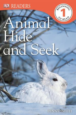 Book cover of DK Readers L1: Animal Hide and Seek