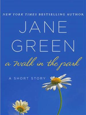 Book cover of A Walk in the Park