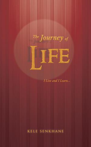 Cover of the book The Journey of Life by Ayo Oyeku
