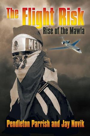 bigCover of the book The Flight Risk by 