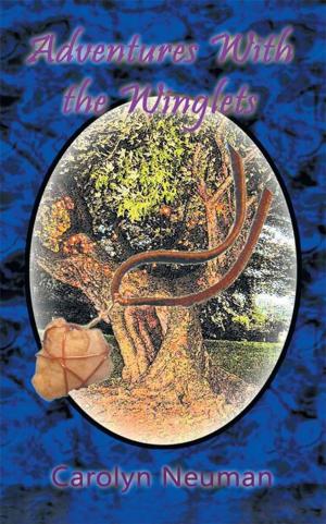 Cover of the book Adventures with the Winglets by Paul Lambe