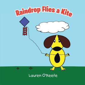 Cover of the book Raindrop Flies a Kite by Louis Komzsik