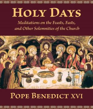 Cover of the book Holy Days by Reinhard Pummer