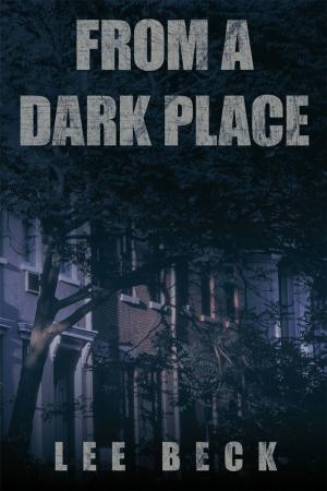 Cover of the book From a Dark Place by Vern Schultz