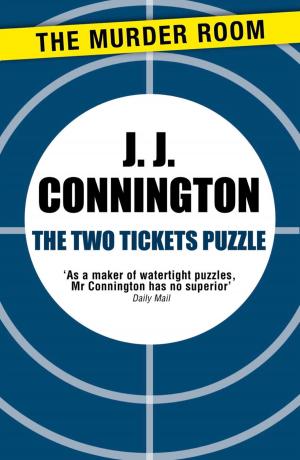 Cover of the book The Two Tickets Puzzle by Chris Wooding