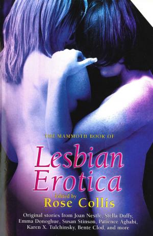 bigCover of the book The Mammoth Book of Lesbian Erotica 2 by 