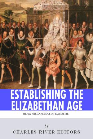 Cover of the book Establishing the Elizabethan Age: The Lives and Legacies of Henry VIII, Anne Boleyn and Elizabeth I by John Calvin