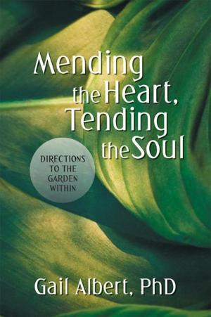 Book cover of Mending the Heart, Tending the Soul