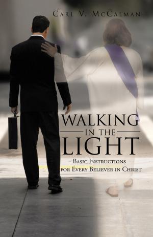 Cover of the book Walking in the Light by Gini Graham Scott