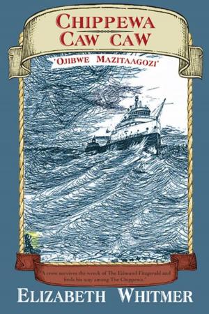 Cover of the book Chippewa Caw Caw by Marie I. George