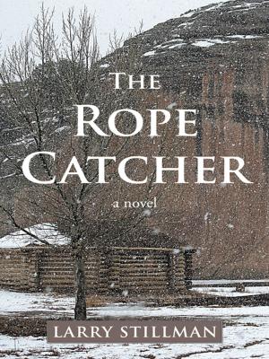 Cover of the book The Rope Catcher by Michael Tsaphah