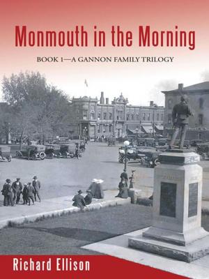 Cover of the book Monmouth in the Morning by Simin Tirgari