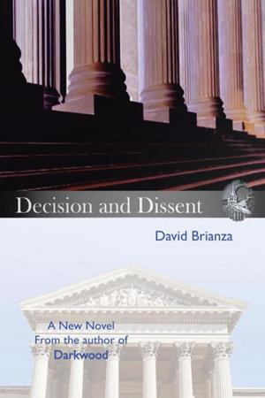 Cover of the book Decision and Dissent by Stasia Xu