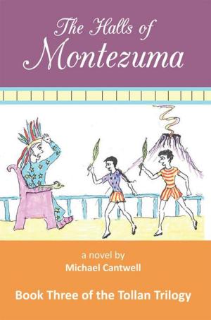 Book cover of The Halls of Montezuma