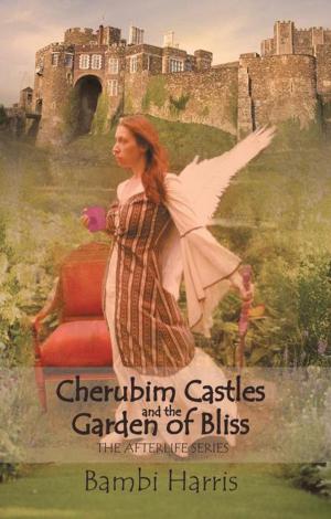 Book cover of Cherubim Castles and the Garden of Bliss