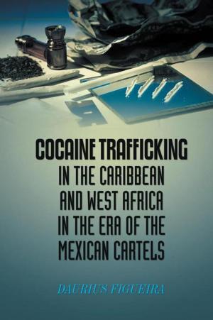 bigCover of the book Cocaine Trafficking in the Caribbean and West Africa in the Era of the Mexican Cartels by 