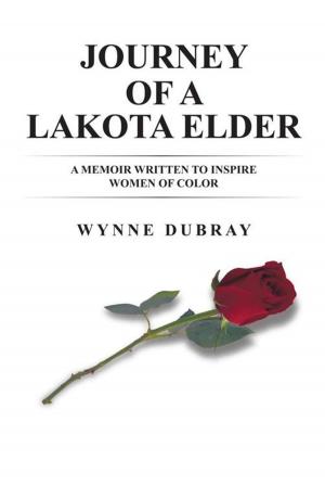 Cover of the book Journey of a Lakota Elder by Stacy A. Foster