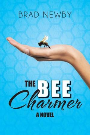 Cover of the book The Bee Charmer by David Tamiran