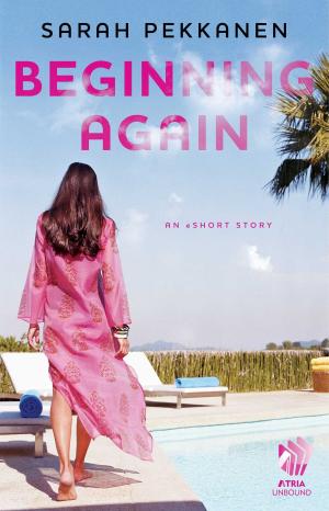 Cover of the book Beginning Again by Susan Stiffelman