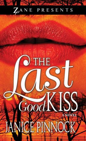 bigCover of the book The Last Good Kiss by 