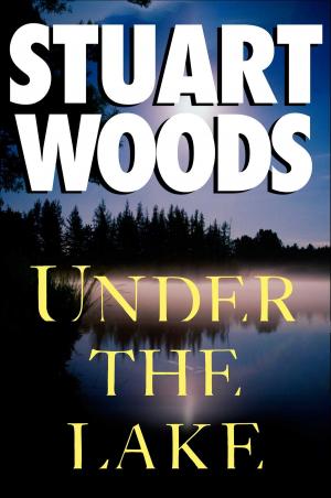 Cover of the book Under the Lake by Edward Humes