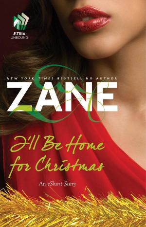 Cover of the book I'll Be Home for Christmas by bell hooks
