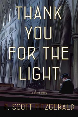 Cover of the book Thank You for the Light by Maya Lang