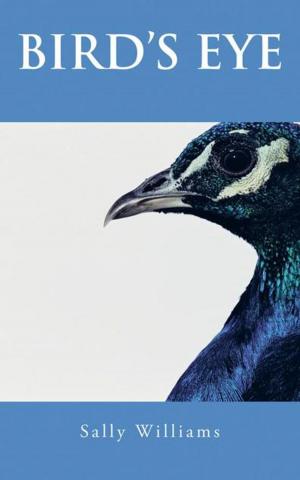 Cover of the book Bird’S Eye by Dr. Lumumba U. Ubani
