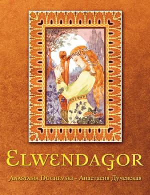 Cover of the book Elwendagor by Terry Godwin