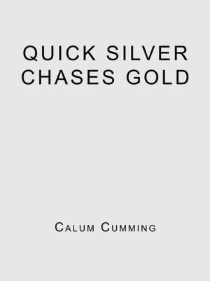 Cover of the book Quick Silver Chases Gold by Patrice ManShine