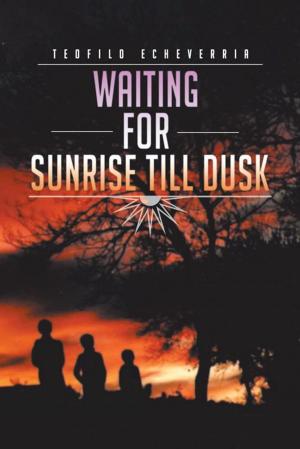 Cover of the book Waiting for Sunrise Till Dusk by N.G. Belopolsky