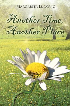 Cover of the book Another Time, Another Place by Joseph Donnelly