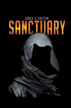 Cover of the book Sanctuary by Olusola Sophia Adebayo- Anyanwu