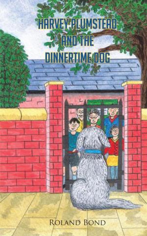 Cover of the book Harvey Plumstead and the Dinnertime Dog by John David