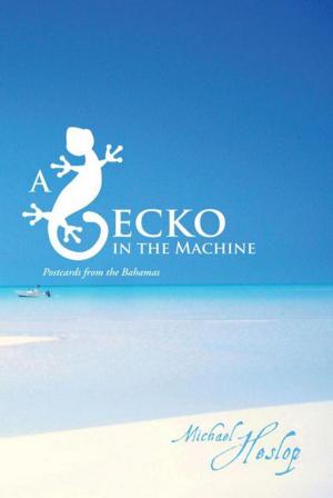 Cover of the book A Gecko in the Machine by Canon Nathan Karema