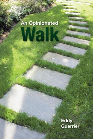 Cover of the book An Opinionated Walk by Dave Wilcox