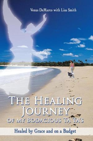 Book cover of The Healing Journey of My Bodacious Ta Ta's