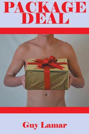 Cover of the book Package Deal by Mamie D. Givhan