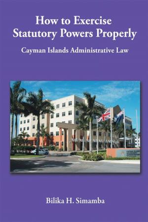 Cover of the book How to Exercise Statutory Powers Properly by Dennis J. Cagan